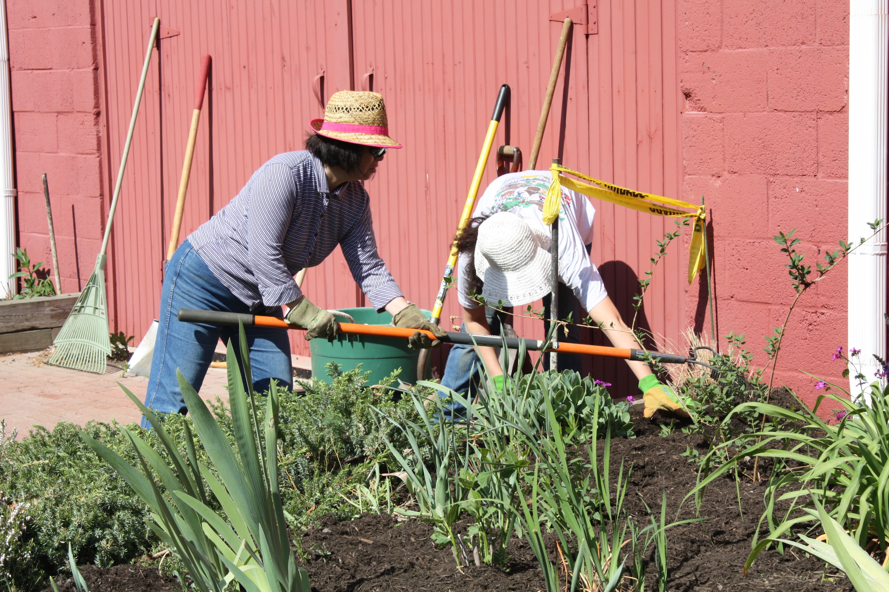 Green Hands volunteer clean-up 8